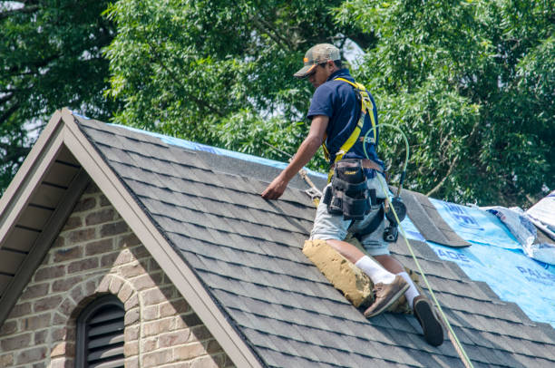 Best Storm Damage Roof Repair  in Lone Oak, TN